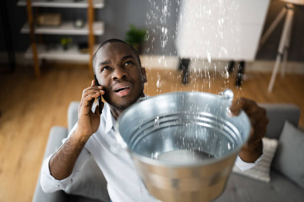 Best Fire Damage Restoration  in Hrisburg, AR