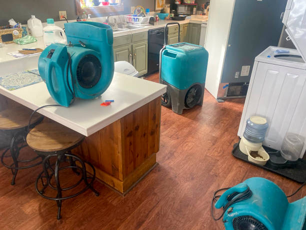 Best Mold removal after water damage  in Hrisburg, AR