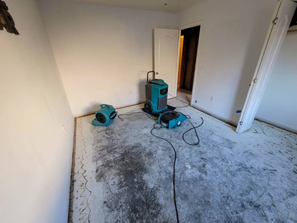 Water damage restoration experts in AR