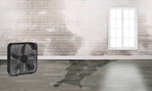 Best Flood restoration services  in Hrisburg, AR