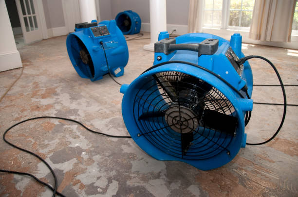Best Flooded house restoration  in Hrisburg, AR