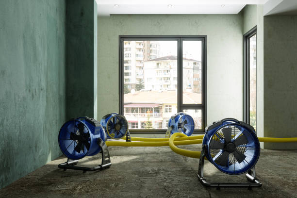 Best Ceiling water damage repair  in Hrisburg, AR
