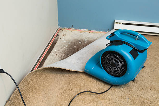 Best Water damage restoration company  in Hrisburg, AR